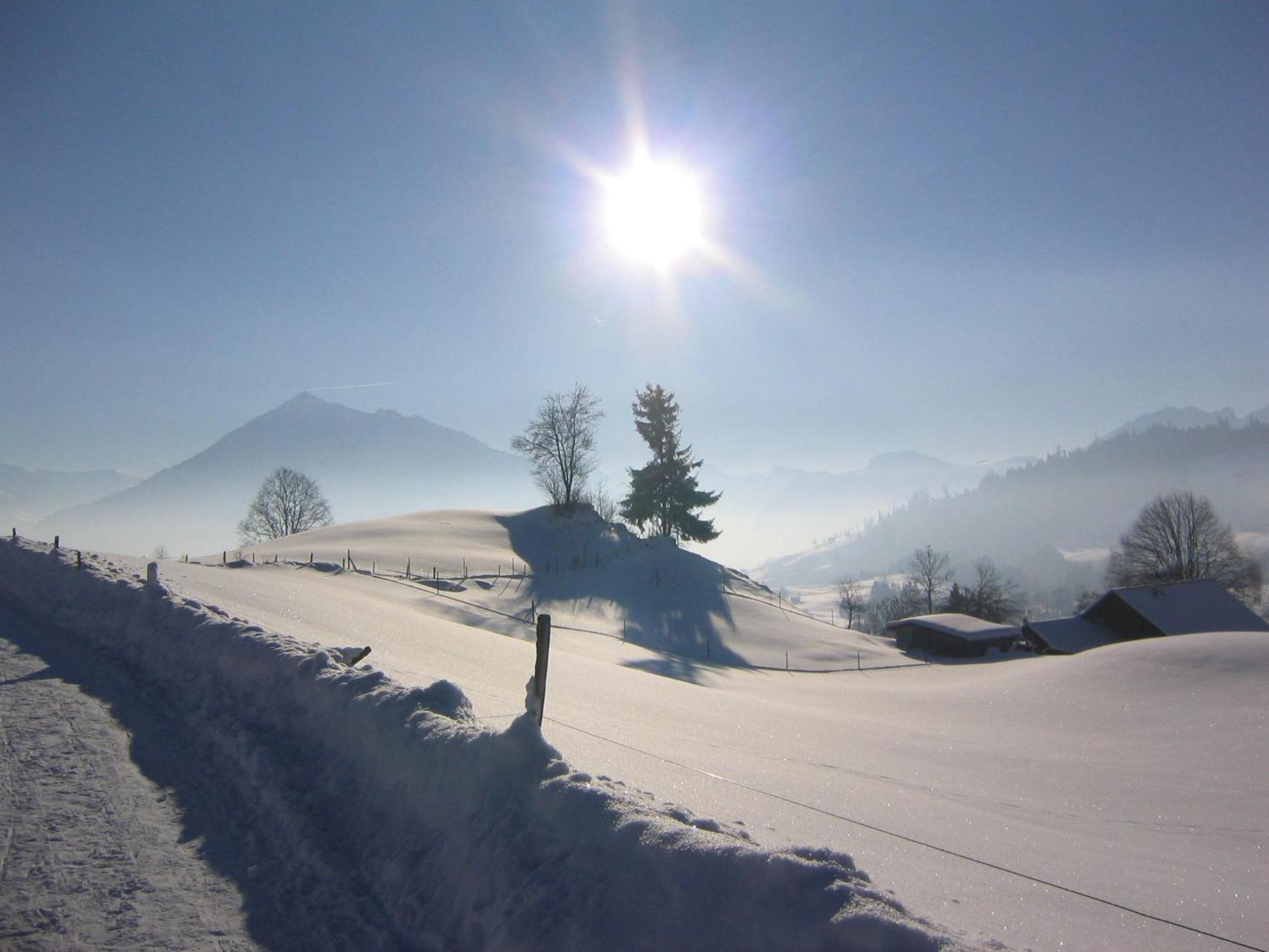 Chalet Sunneschyn Schwanden  Екстер'єр фото