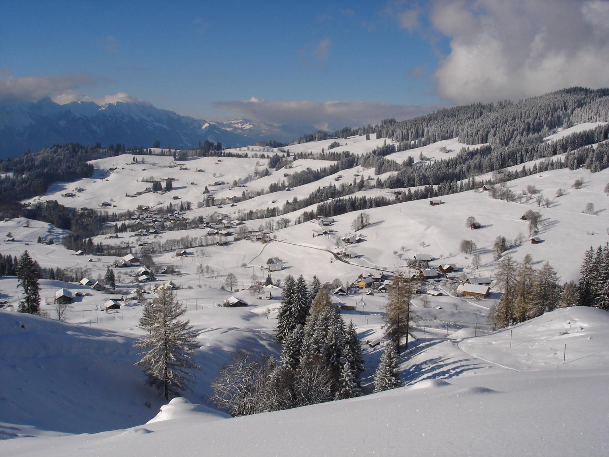 Chalet Sunneschyn Schwanden  Екстер'єр фото