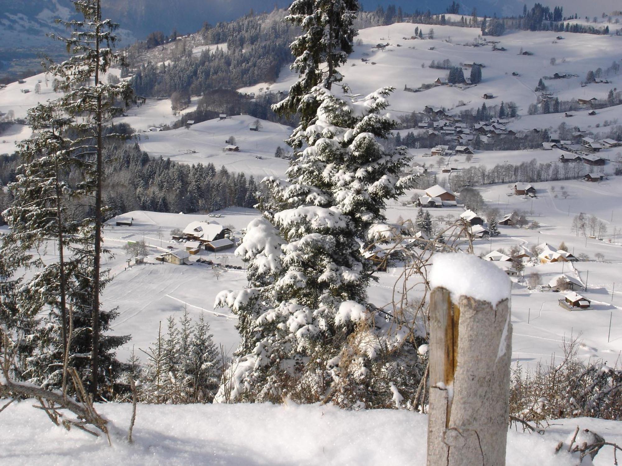 Chalet Sunneschyn Schwanden  Екстер'єр фото