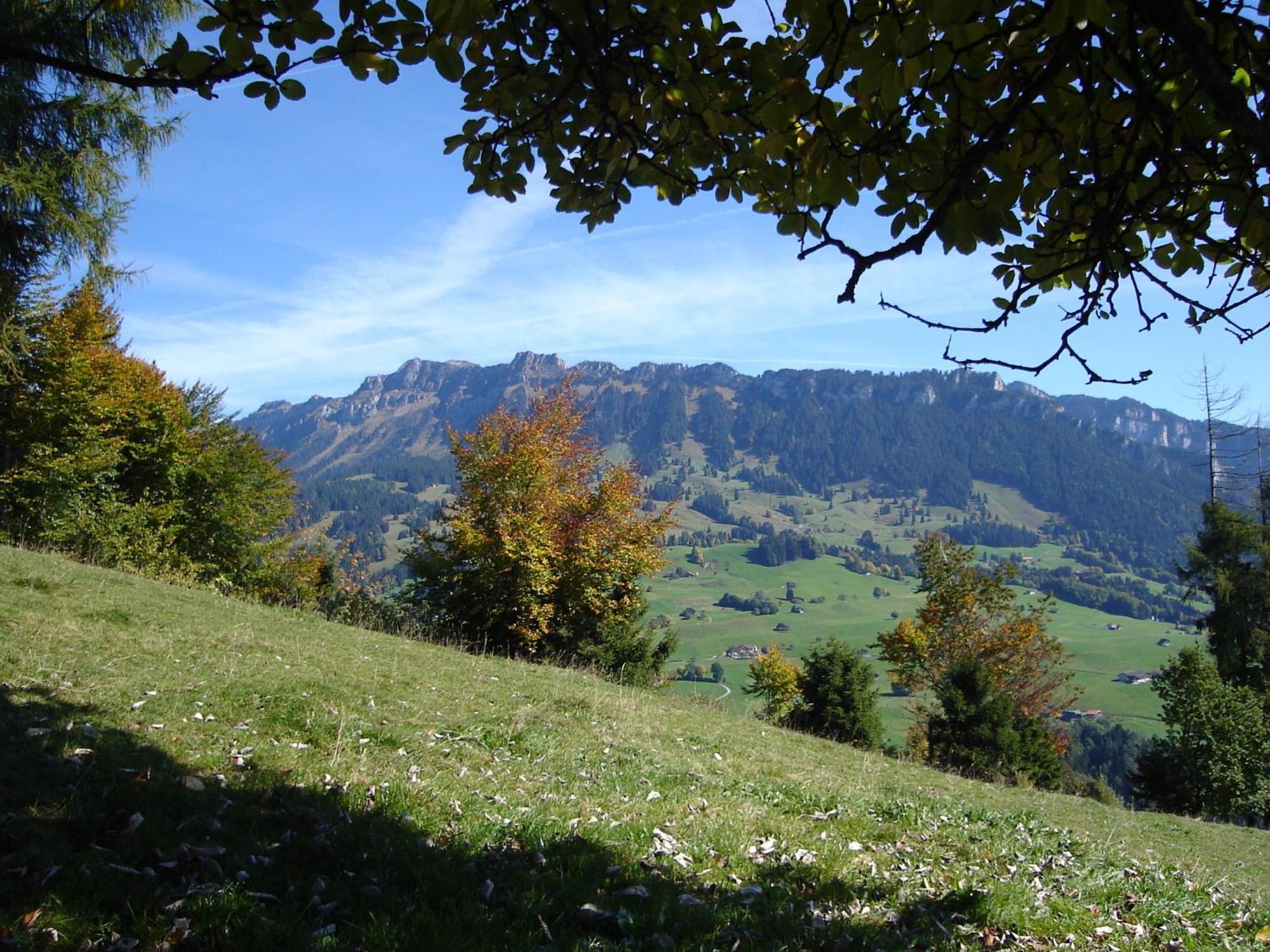 Chalet Sunneschyn Schwanden  Екстер'єр фото
